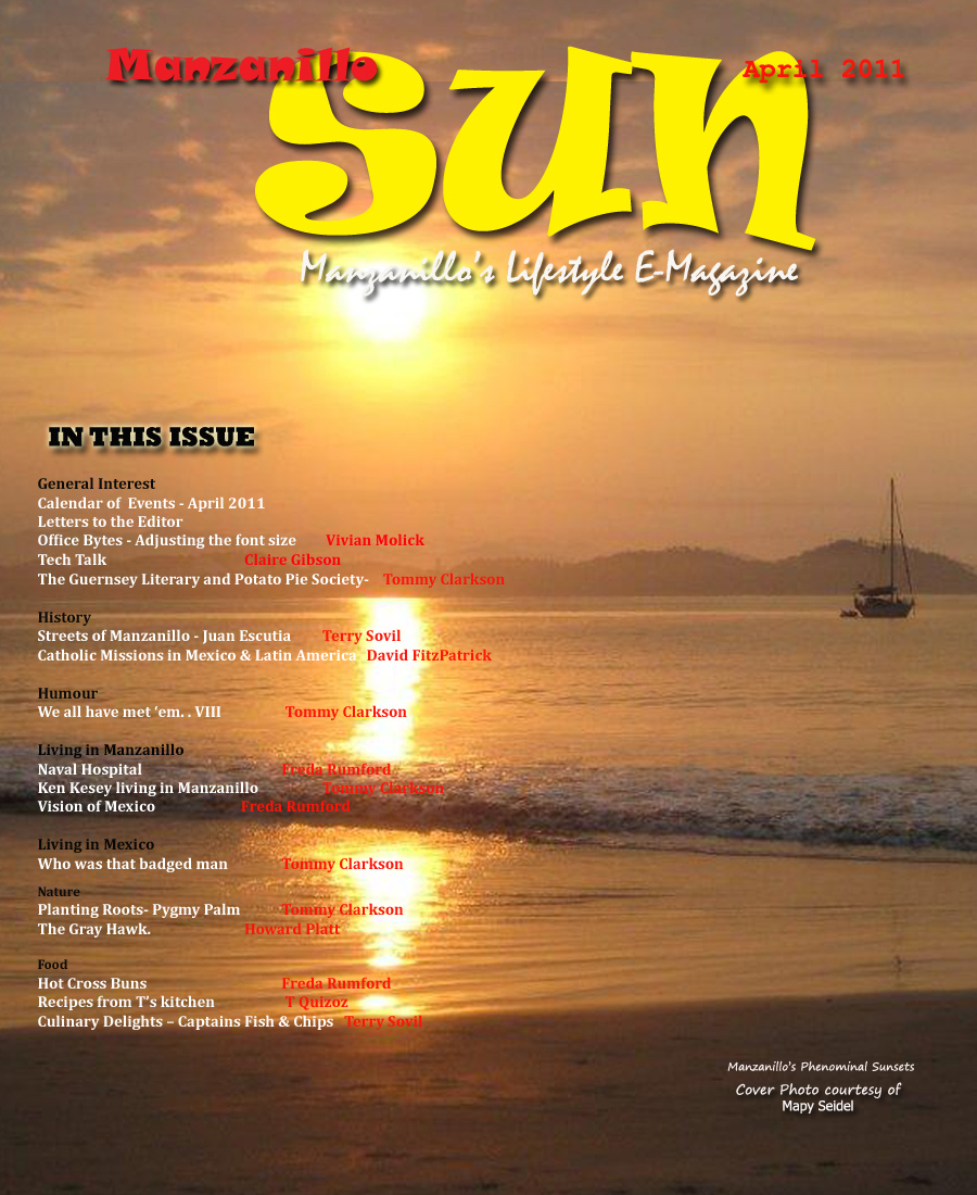 Manzanillo Sun April 2011 cover