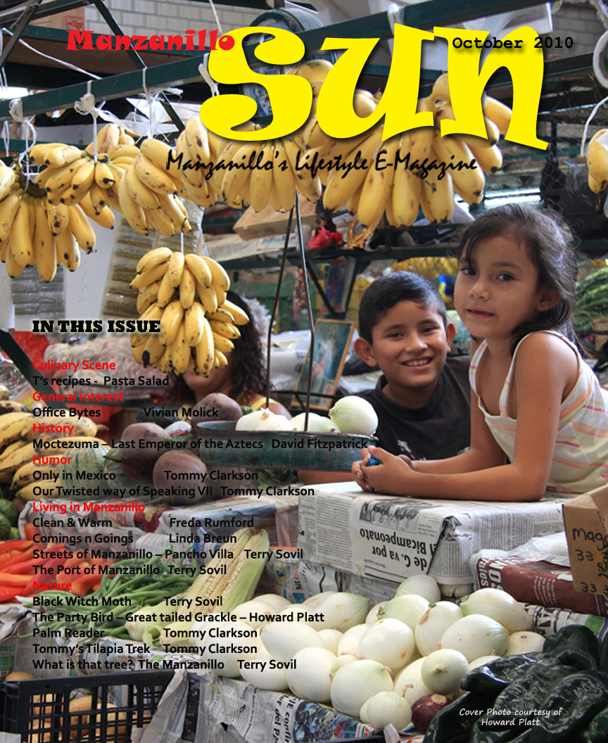 Manzanillo Sun October 2010 (PDF, 8.36 MB)